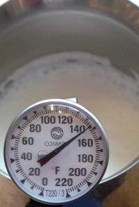 Cappuccino Thermometer