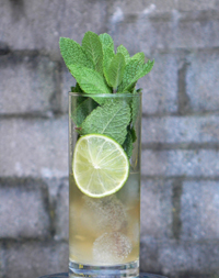 mojito