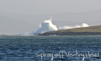 ventry3